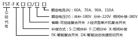 FST-FK���܏ͺ��_�P