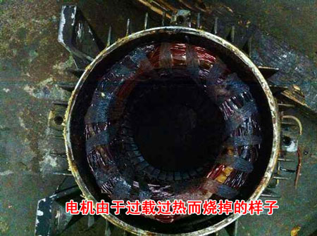 늙C�^�d������늙C��������Ȧȫ��